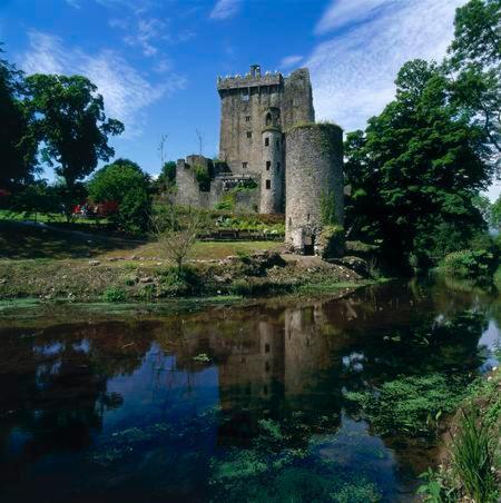 Lanesville B&B Blarney Exteriör bild
